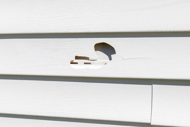 Best Insulated Siding Installation  in Booker, TX